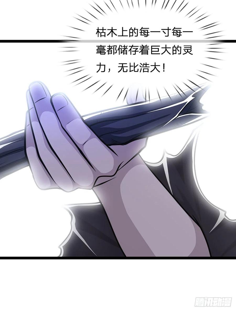 被困百万年：弟子遍布诸天万界 第42话 枯木不枯，逆天而修 第14页