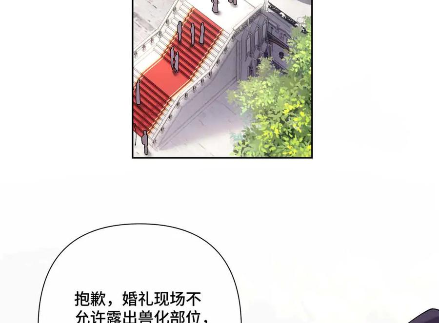 《白天被逃婚晚上被奶凶指挥官求抱抱》66 去结婚啦 第63页