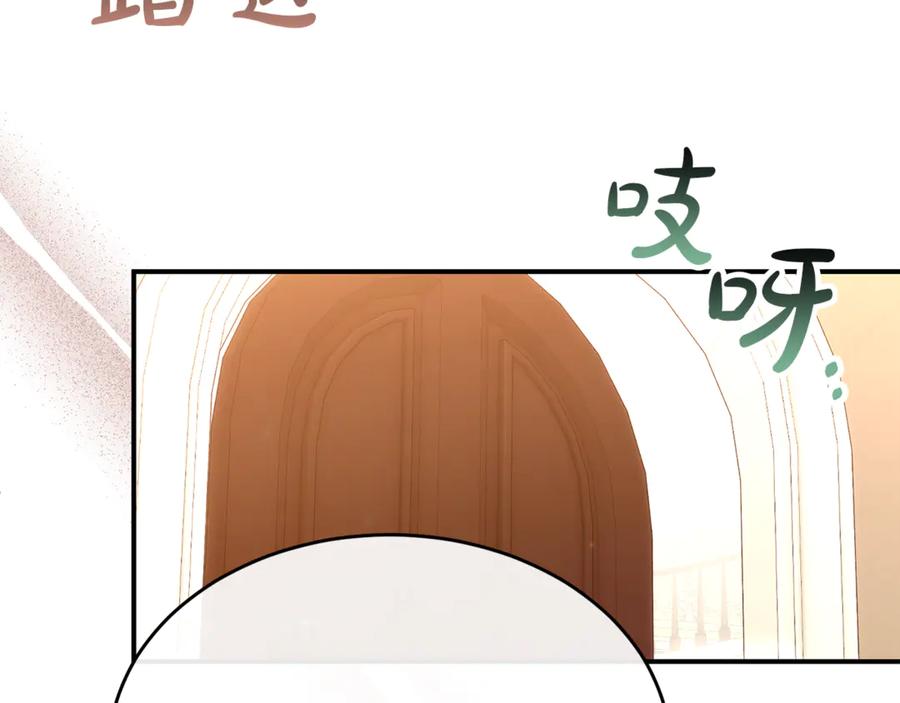 123.jpg
