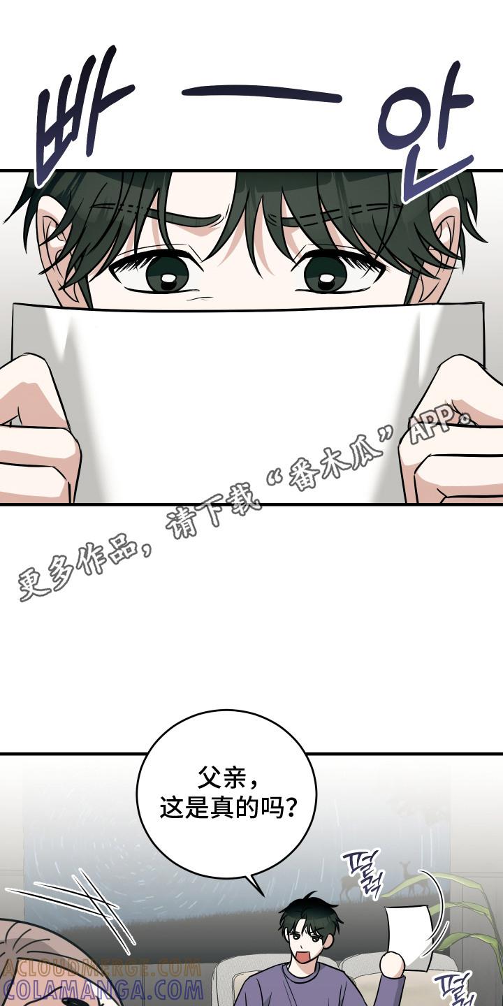 《双面联姻》第12章：错误的报告 第5页