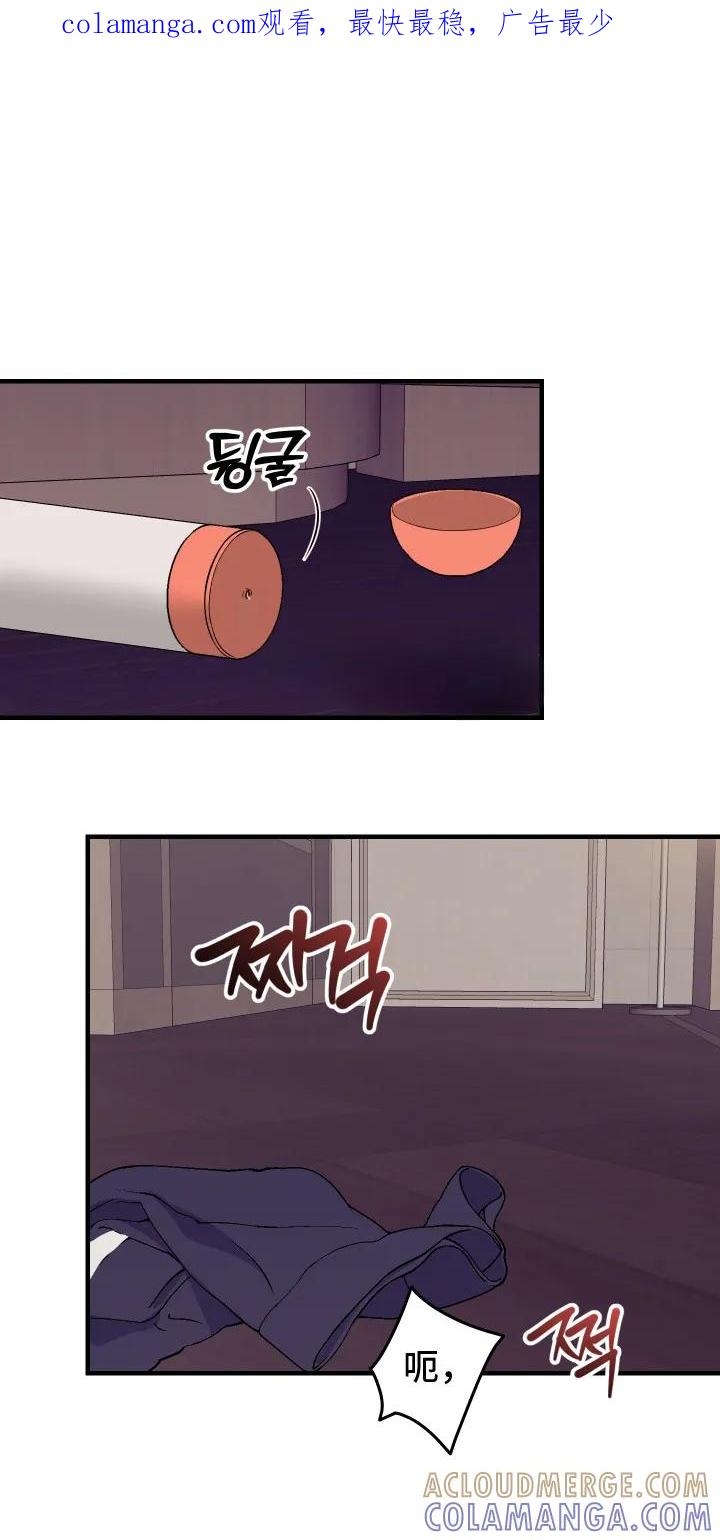 《双面联姻》第3章：高贵血统 第1页