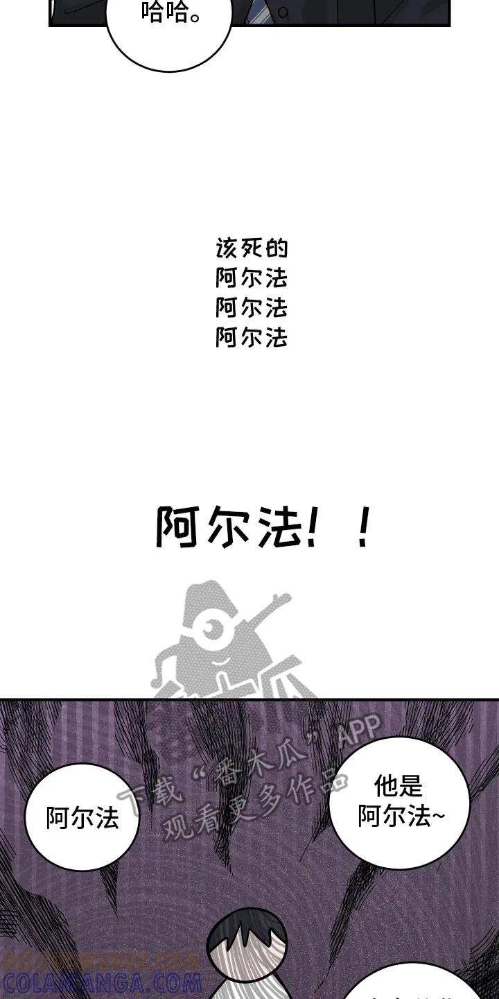 《双面联姻》第3章：高贵血统 第17页
