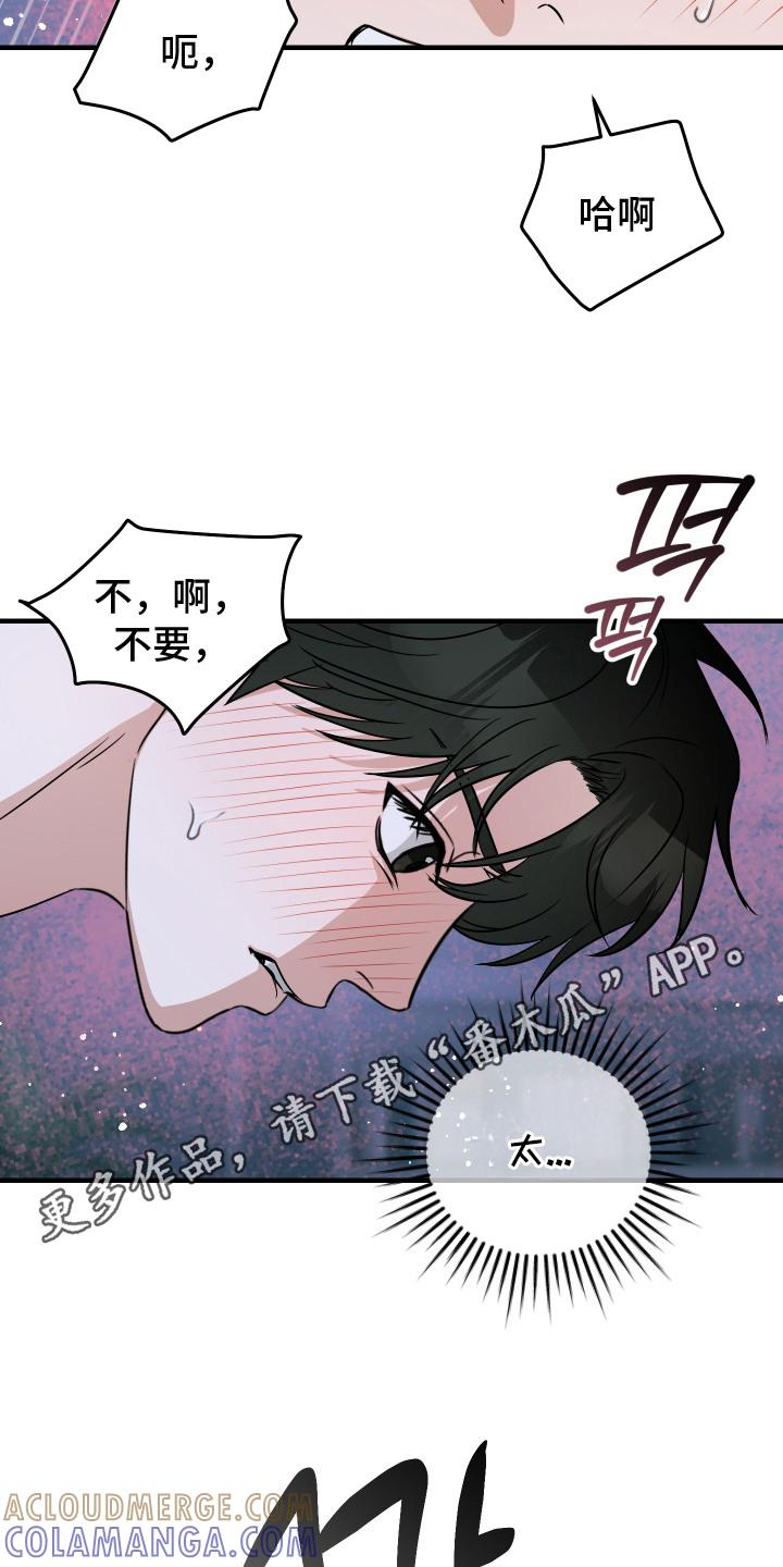 《双面联姻》第6章：信息素香水 第5页