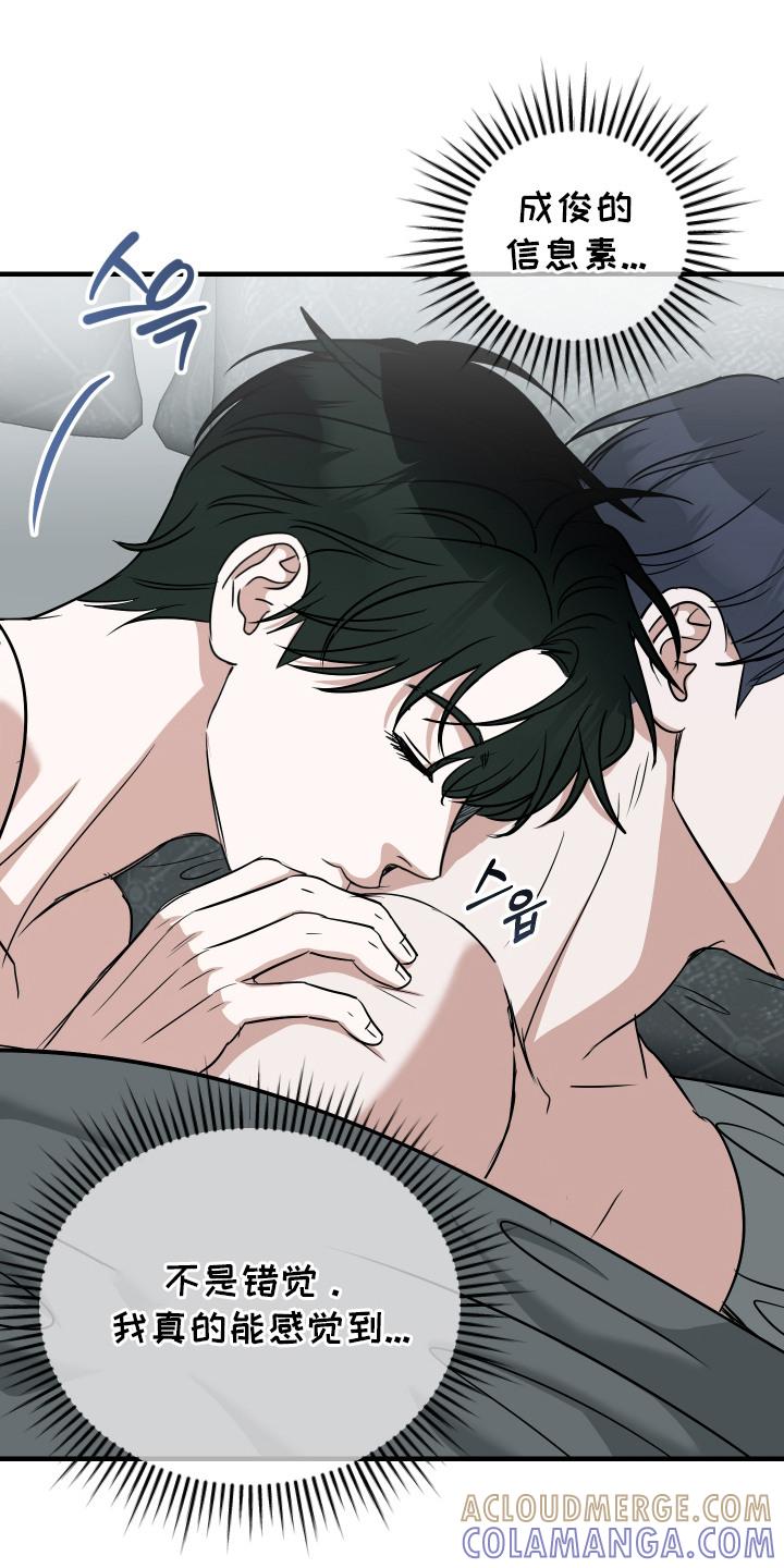 《双面联姻》第6章：信息素香水 第15页