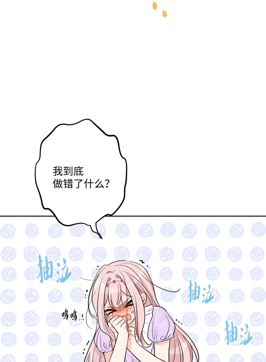 《被抛弃的女主迎来了幸福》51 孩子的归宿 第62页