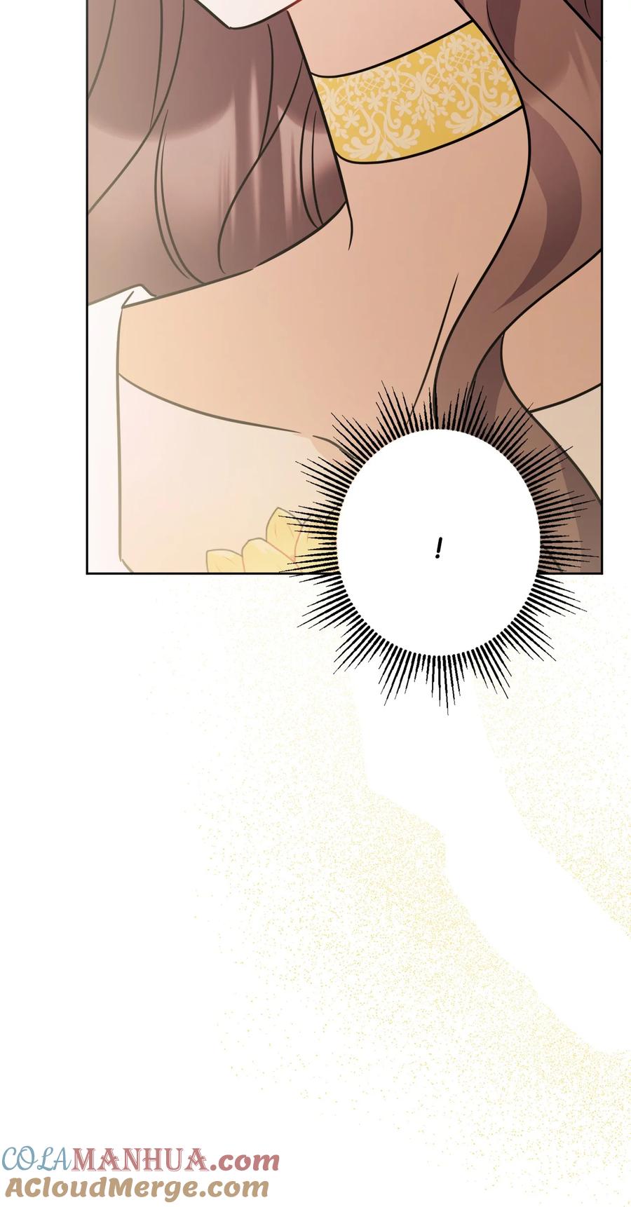 《被抛弃的女主迎来了幸福》63 艾修就是艾林？ 第28页