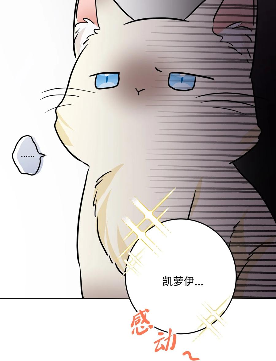 《被抛弃的女主迎来了幸福》72 幸福的爱 大结局 第53页