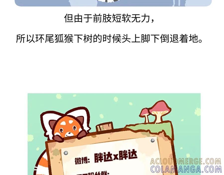 《胖达x胖达》第265话 第31页