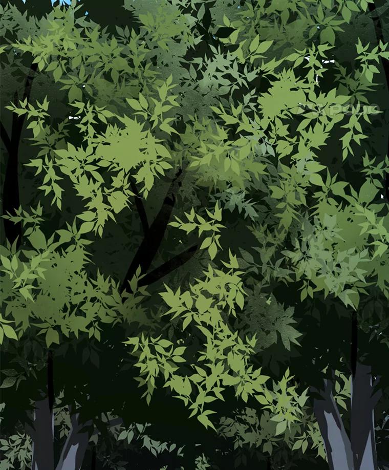 《被圣剑选择的少年》16.开启冒险 第8页