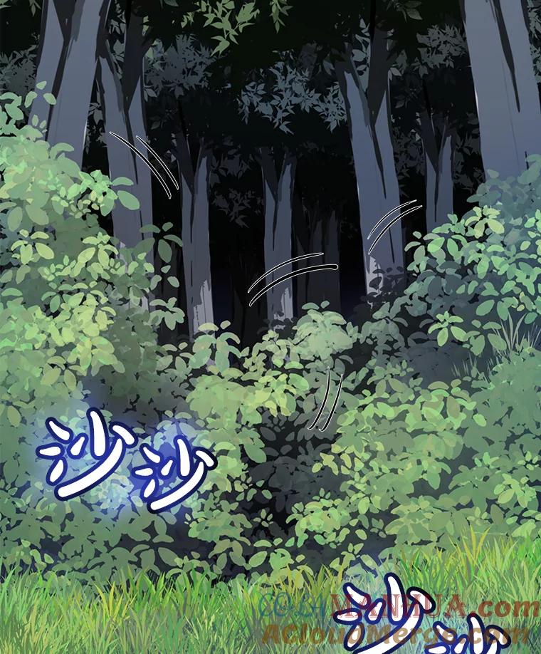 《被圣剑选择的少年》16.开启冒险 第9页