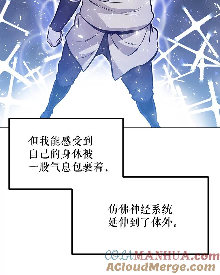 《被圣剑选择的少年》20.灵气入门 第117页