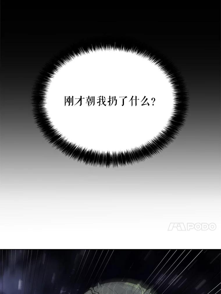 《被圣剑选择的少年》34.双重身份 第68页