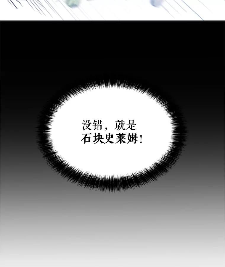 《被圣剑选择的少年》34.双重身份 第74页