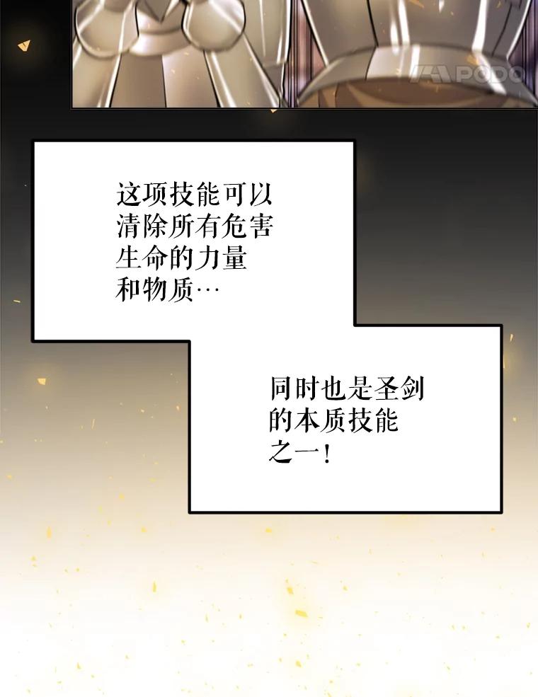 《被圣剑选择的少年》35.配合作战 第68页