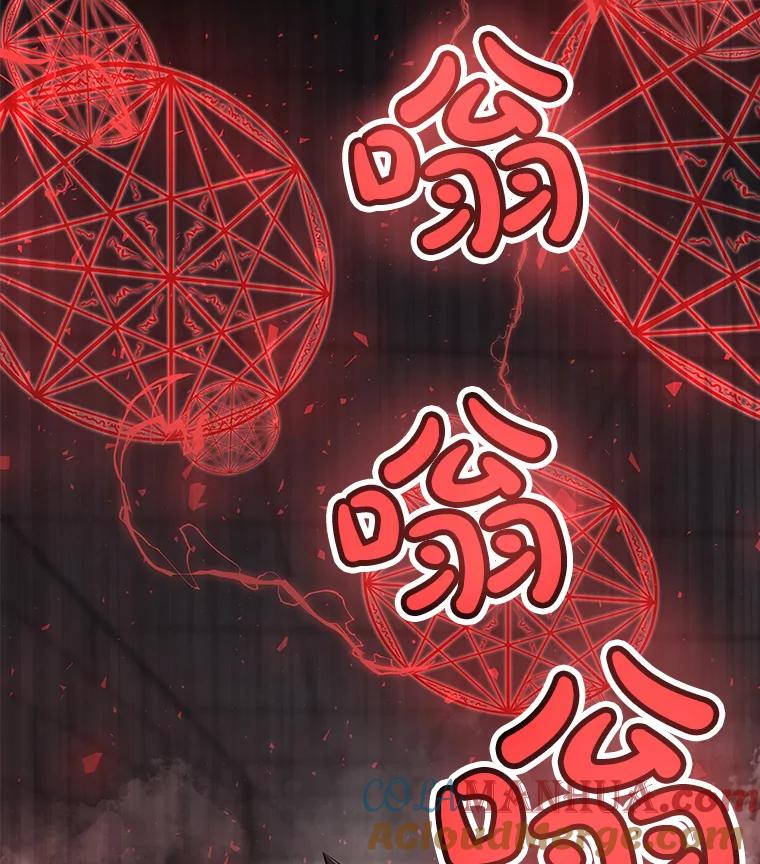 《被圣剑选择的少年》38.生死时速 第117页
