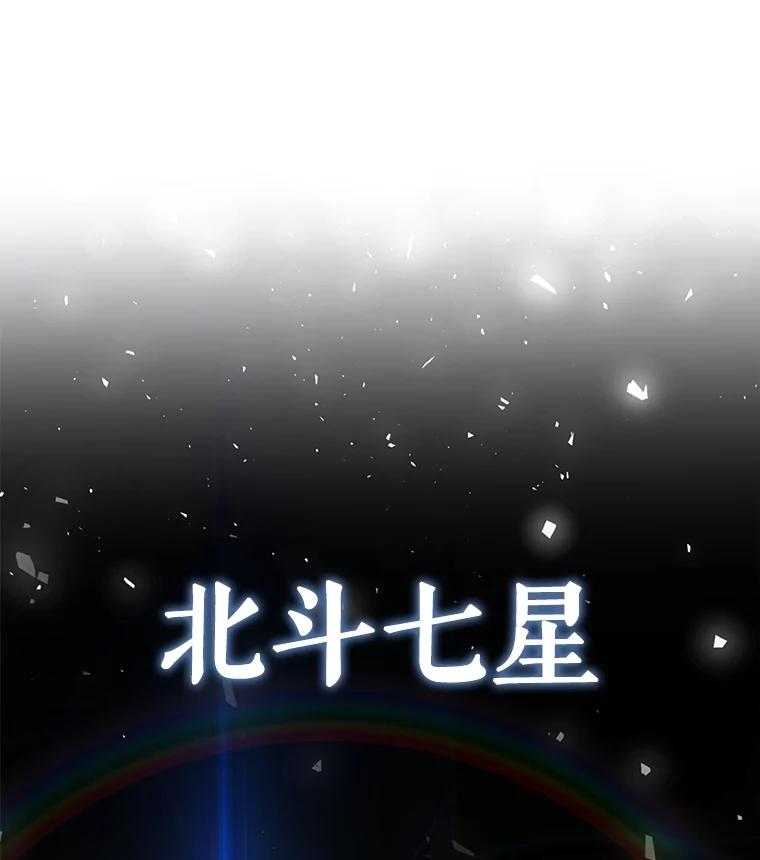 《被圣剑选择的少年》41.七星剑 第104页