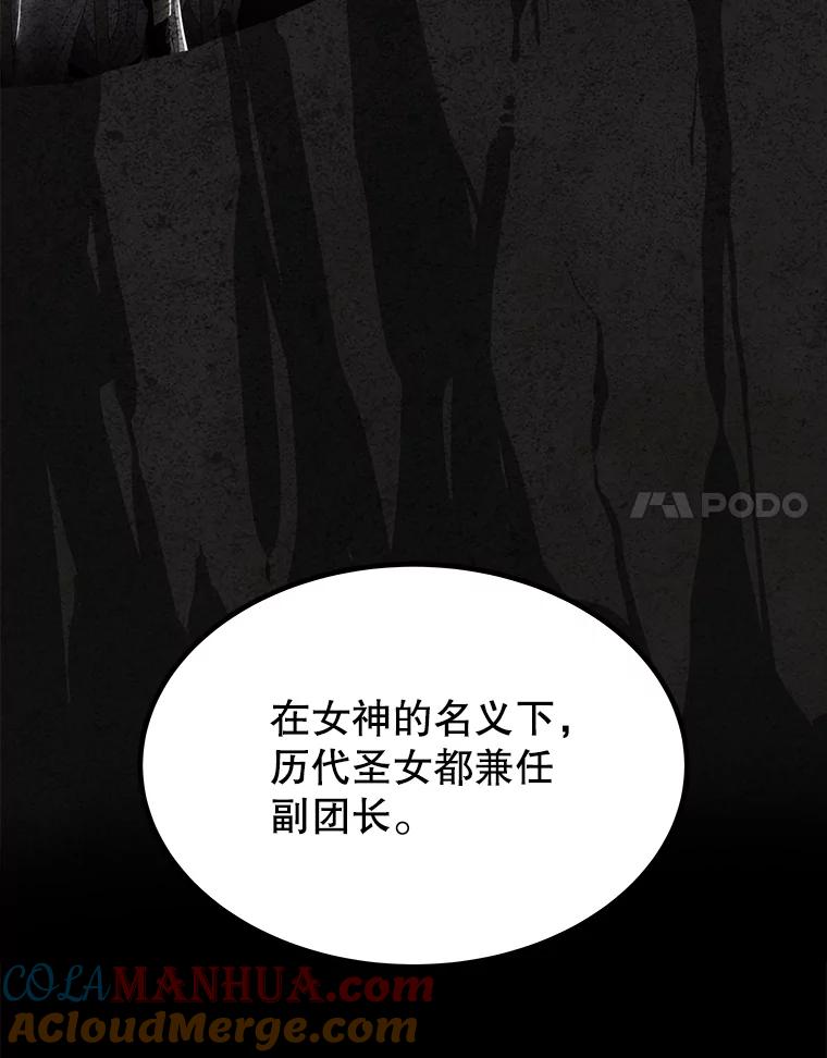 《被圣剑选择的少年》47.最强圣女 第101页