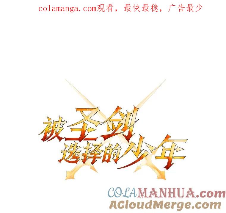 《被圣剑选择的少年》47.最强圣女 第1页