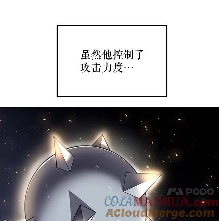 《被圣剑选择的少年》48.日环食之剑 第117页