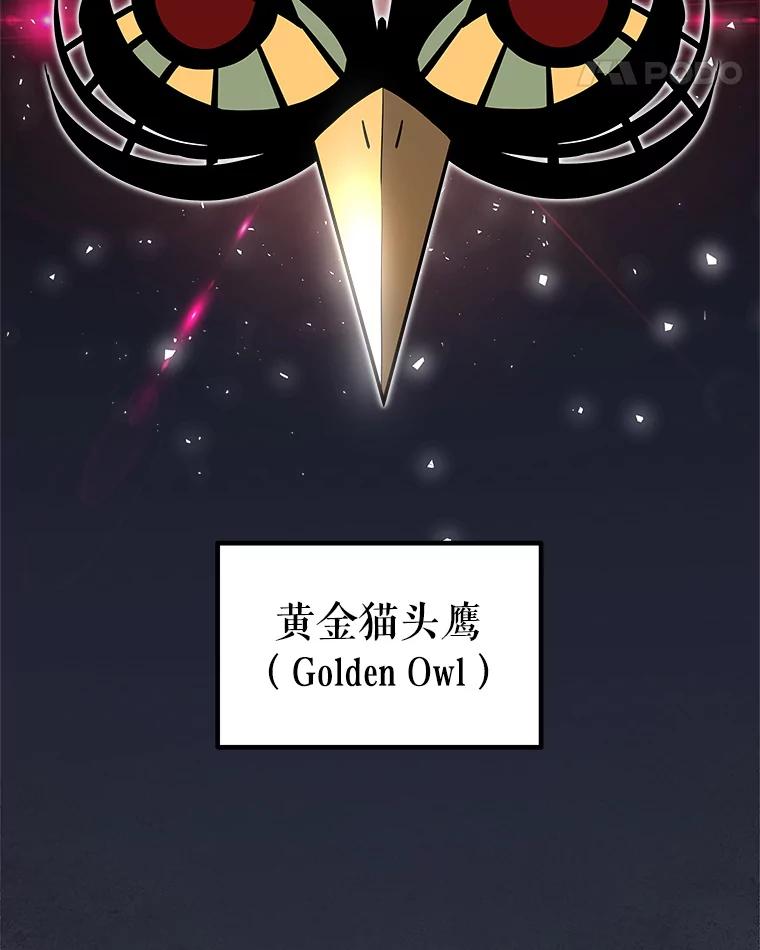 《被圣剑选择的少年》64.黄金猫头鹰 第36页