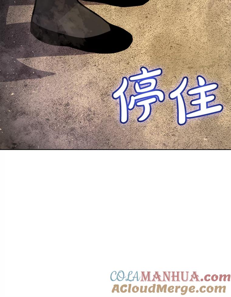 《被圣剑选择的少年》64.黄金猫头鹰 第45页