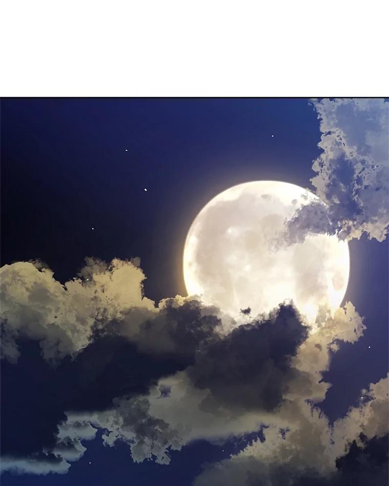 《被圣剑选择的少年》66.半吸血鬼 第88页