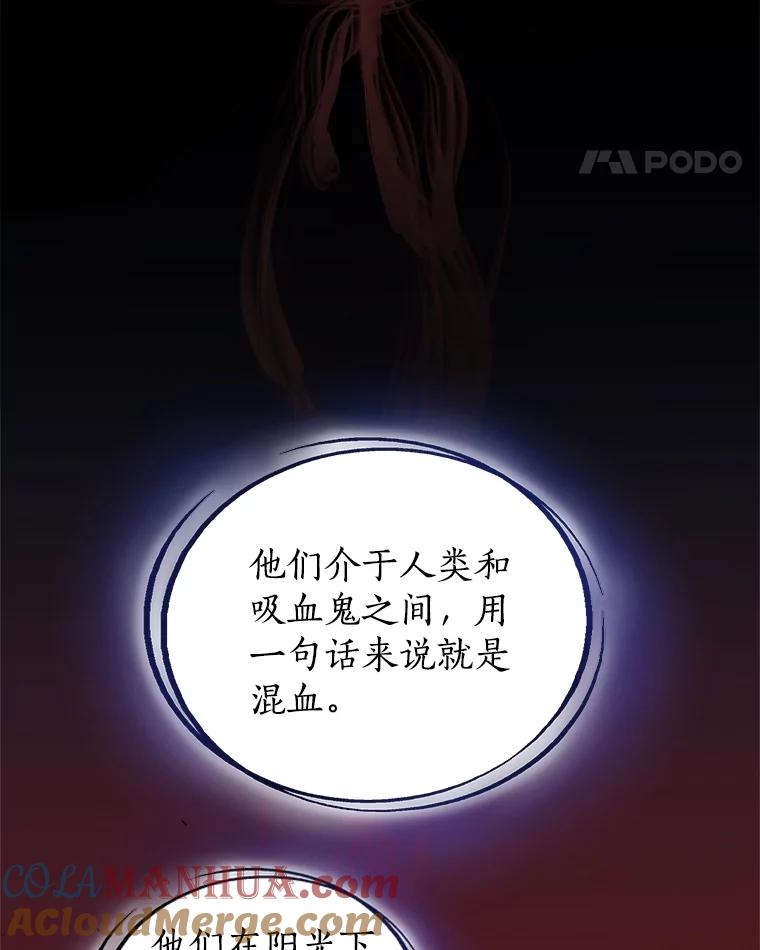 《被圣剑选择的少年》66.半吸血鬼 第77页