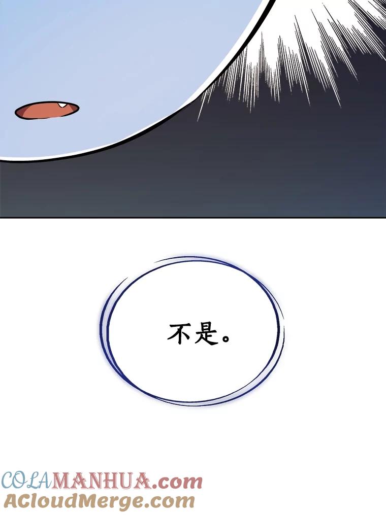 《被圣剑选择的少年》68.进入路佩纳 第113页