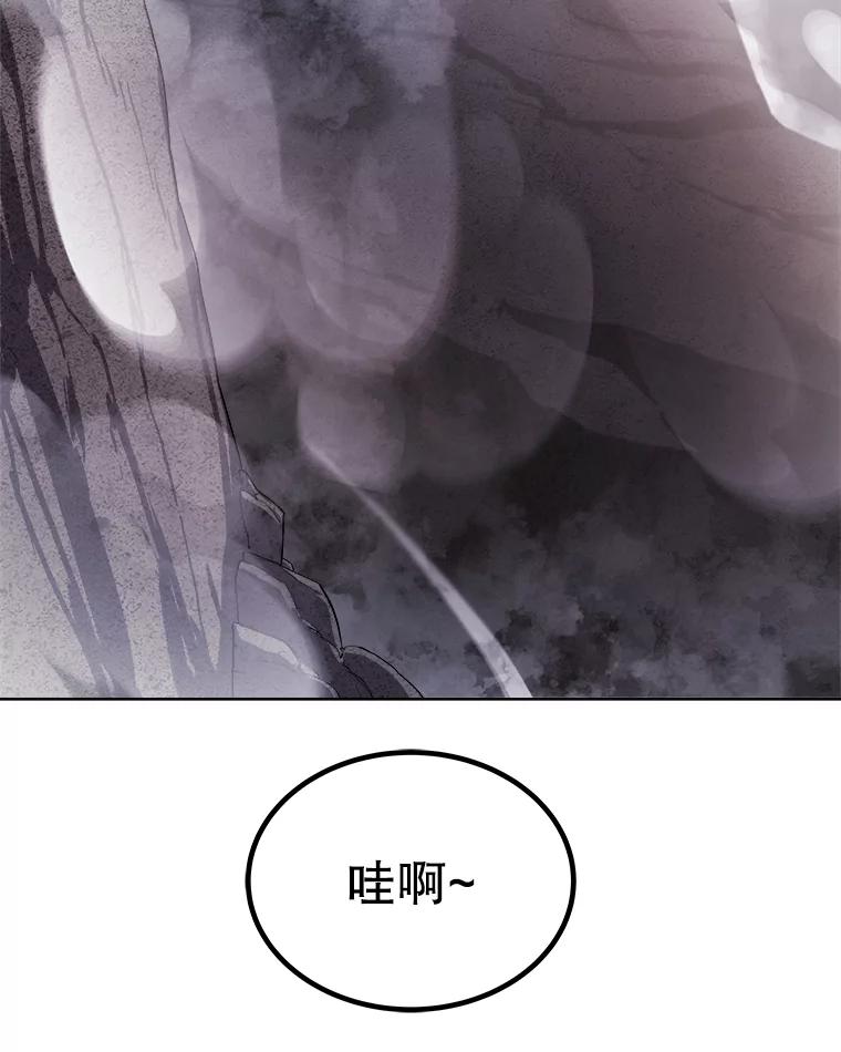 《被圣剑选择的少年》85.新的征程 第47页