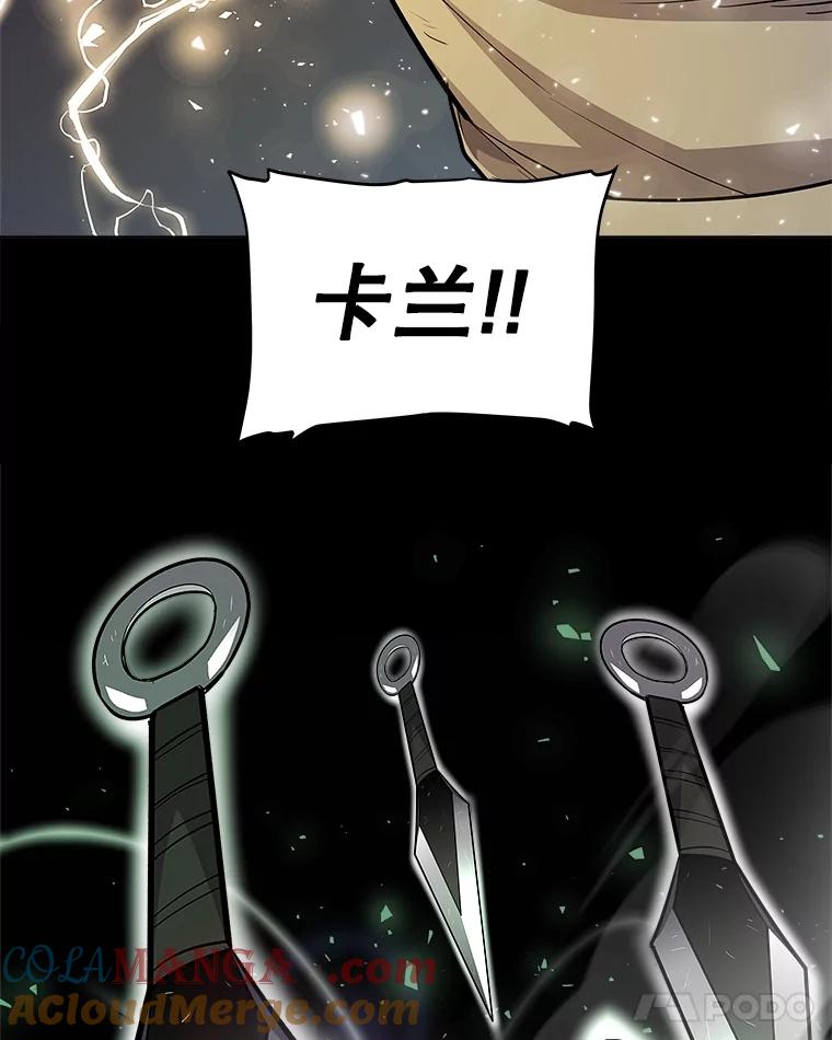 《被圣剑选择的少年》86.加入战局 第105页