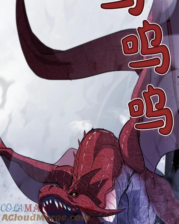 《被圣剑选择的少年》86.加入战局 第45页