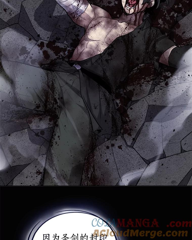 《被圣剑选择的少年》97.女神降临 第13页