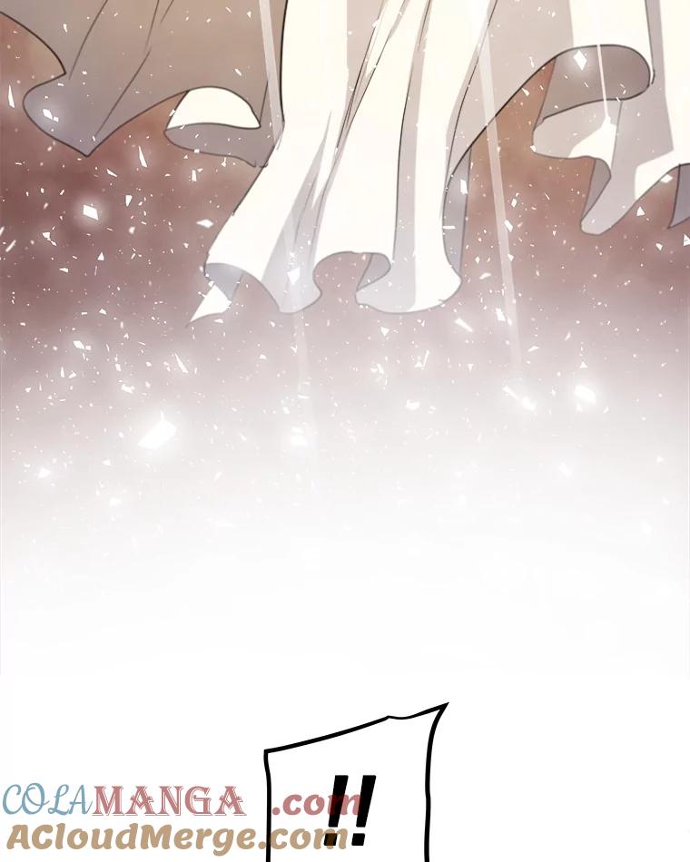 《被圣剑选择的少年》97.女神降临 第45页