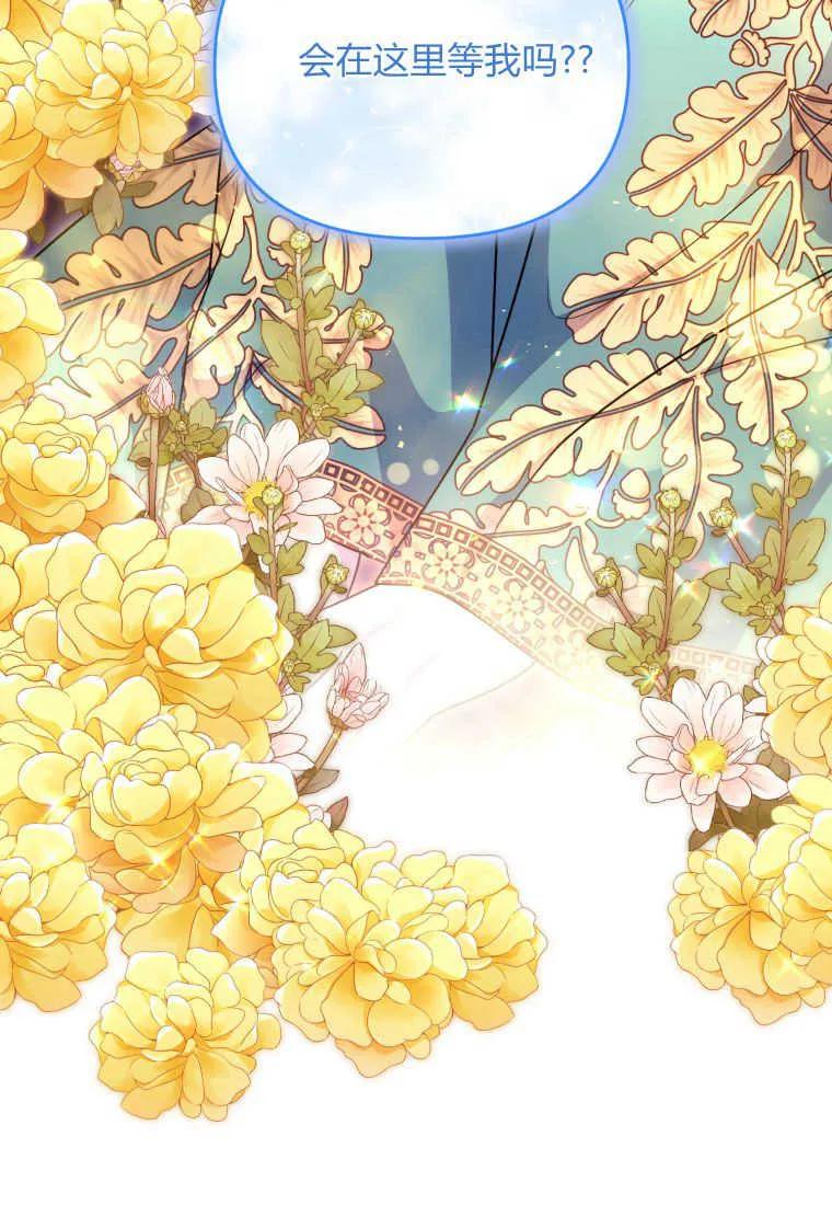成为苏尔坦珍爱的猫咪 第26话 第48页