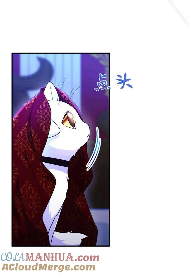 成为苏尔坦珍爱的猫咪 第26话 第33页