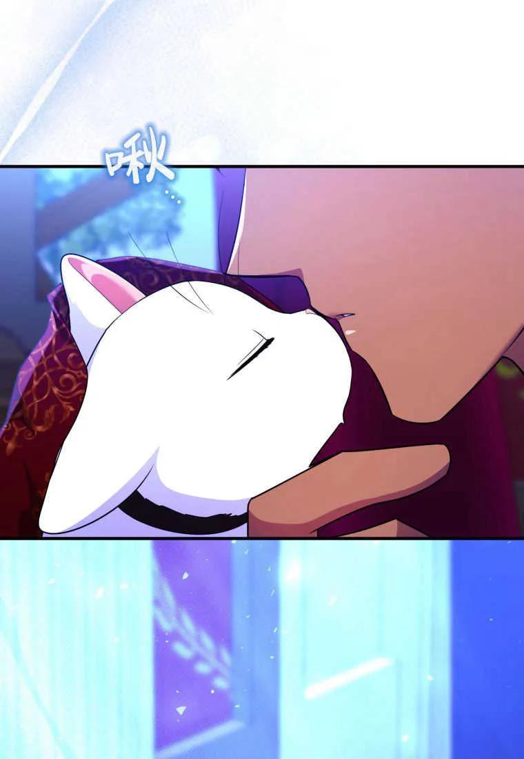 成为苏尔坦珍爱的猫咪 第26话 第36页