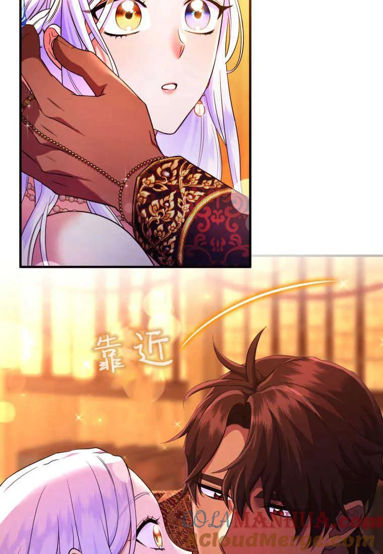 成为苏尔坦珍爱的猫咪 第27话 第101页