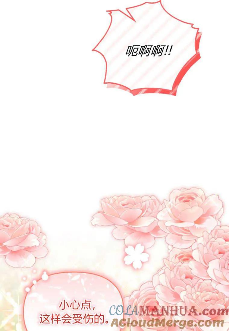 成为苏尔坦珍爱的猫咪 第27话 第49页