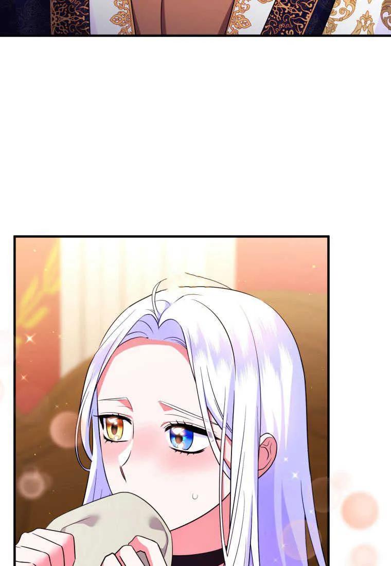 成为苏尔坦珍爱的猫咪 第28话 第60页