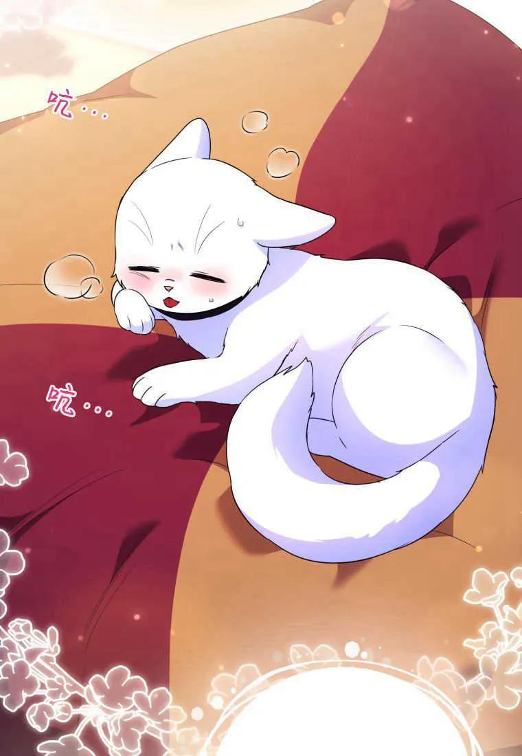 成为苏尔坦珍爱的猫咪 第28话 第62页
