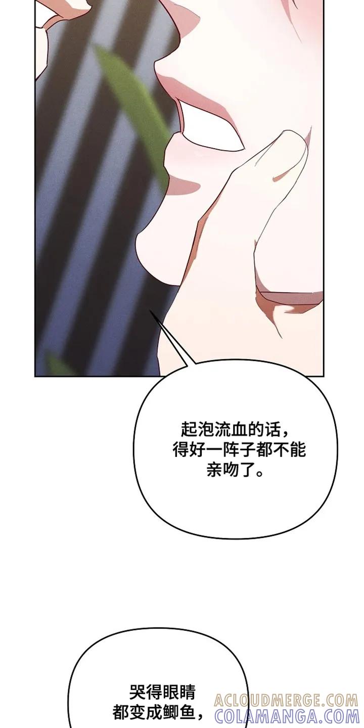 《陆地灵药》第100章：【第二季】我不会逃跑 第13页