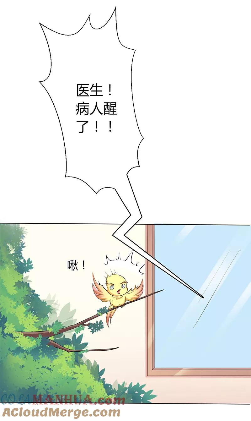 《致命宠妻：总裁纳命来！》第70话 你终于醒了 第13页