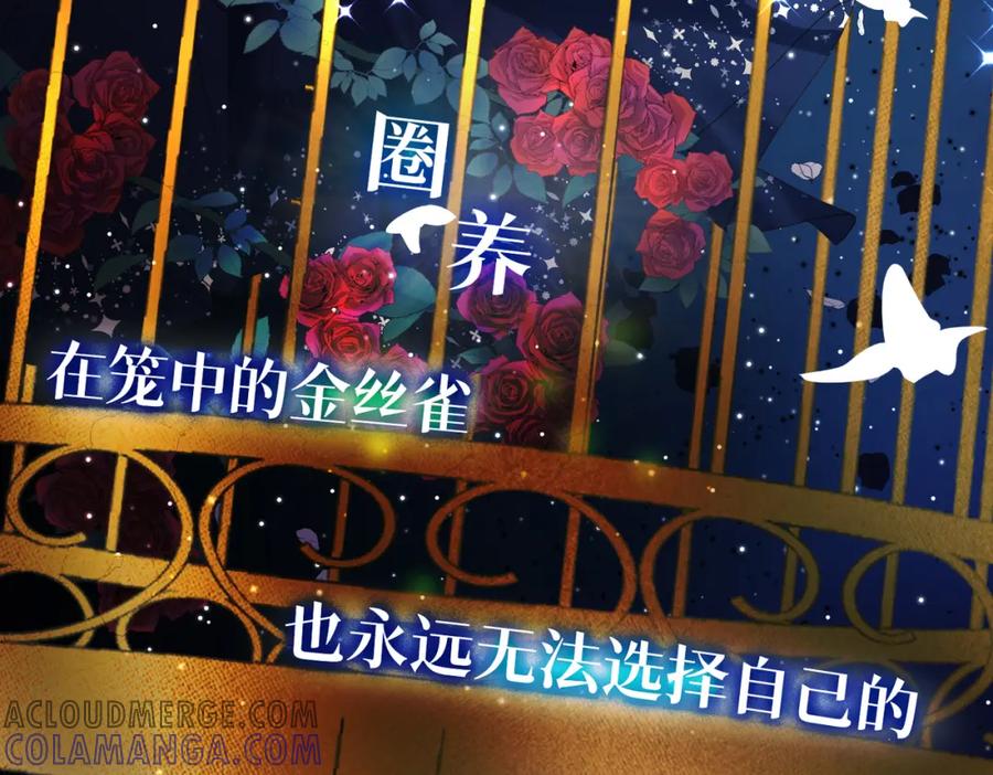 《被主教大人宠爱的日子》00 我的专属秘密恋人 第4页