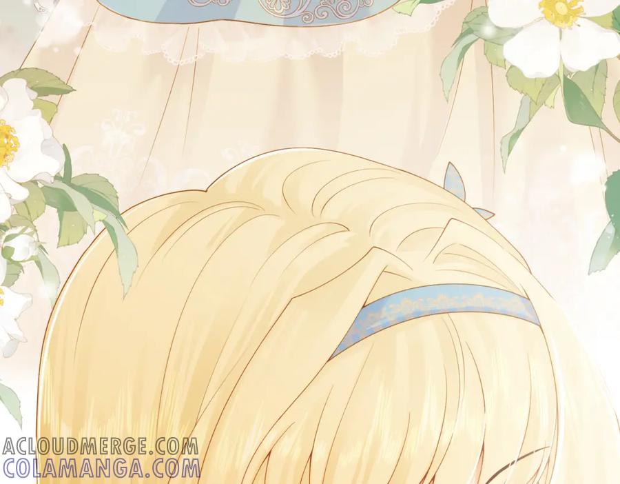 《被主教大人宠爱的日子》01 迷途的小玫瑰 第33页
