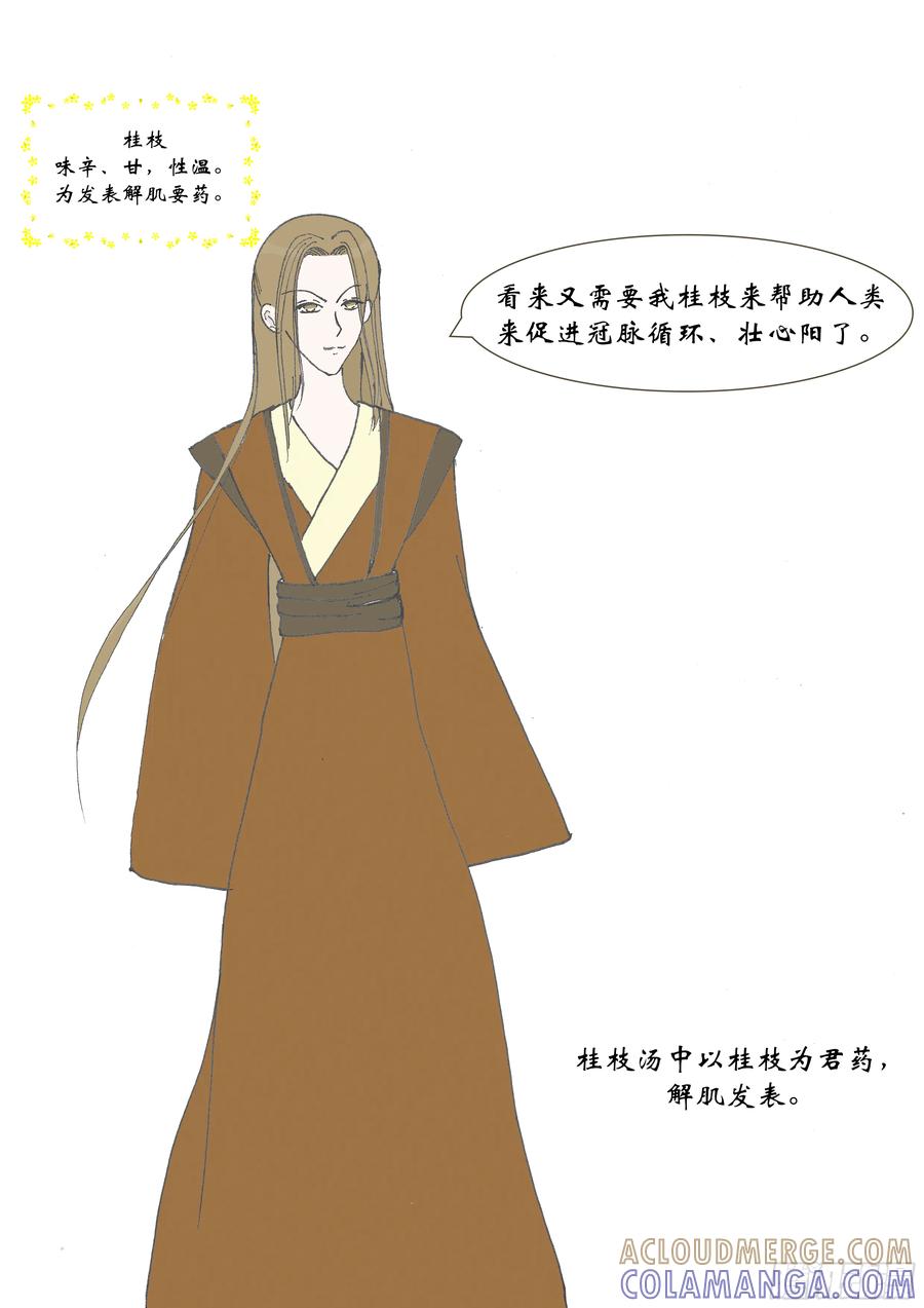 《本草传》初登场!群方之首桂枝汤 第5页