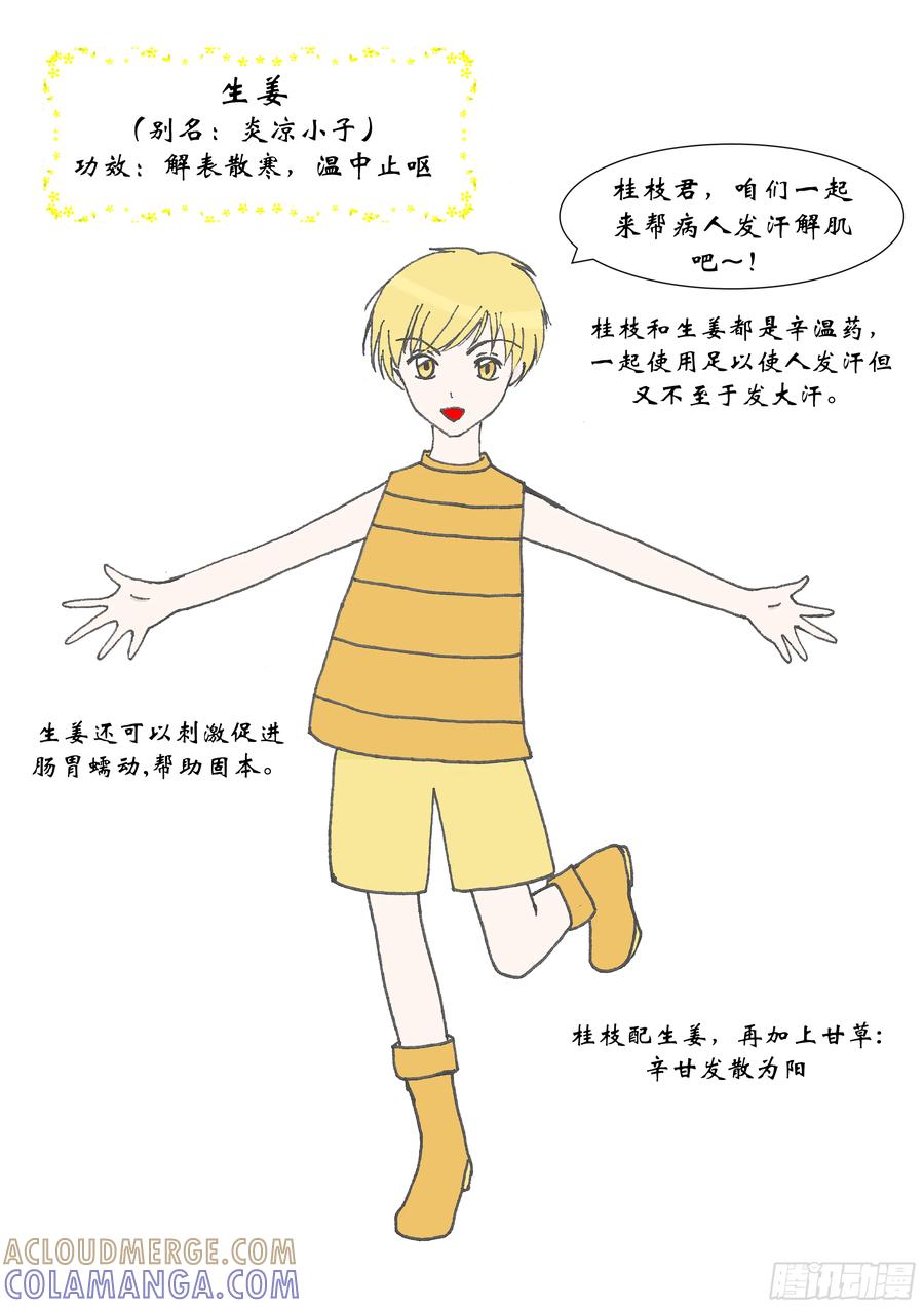 《本草传》初登场!群方之首桂枝汤 第6页