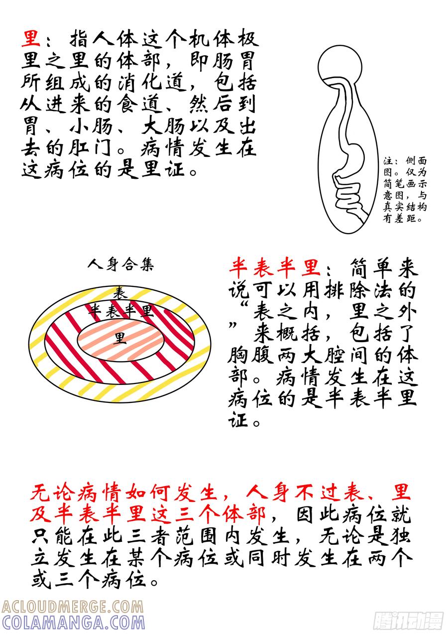 《本草传》八纲辨证 第5页