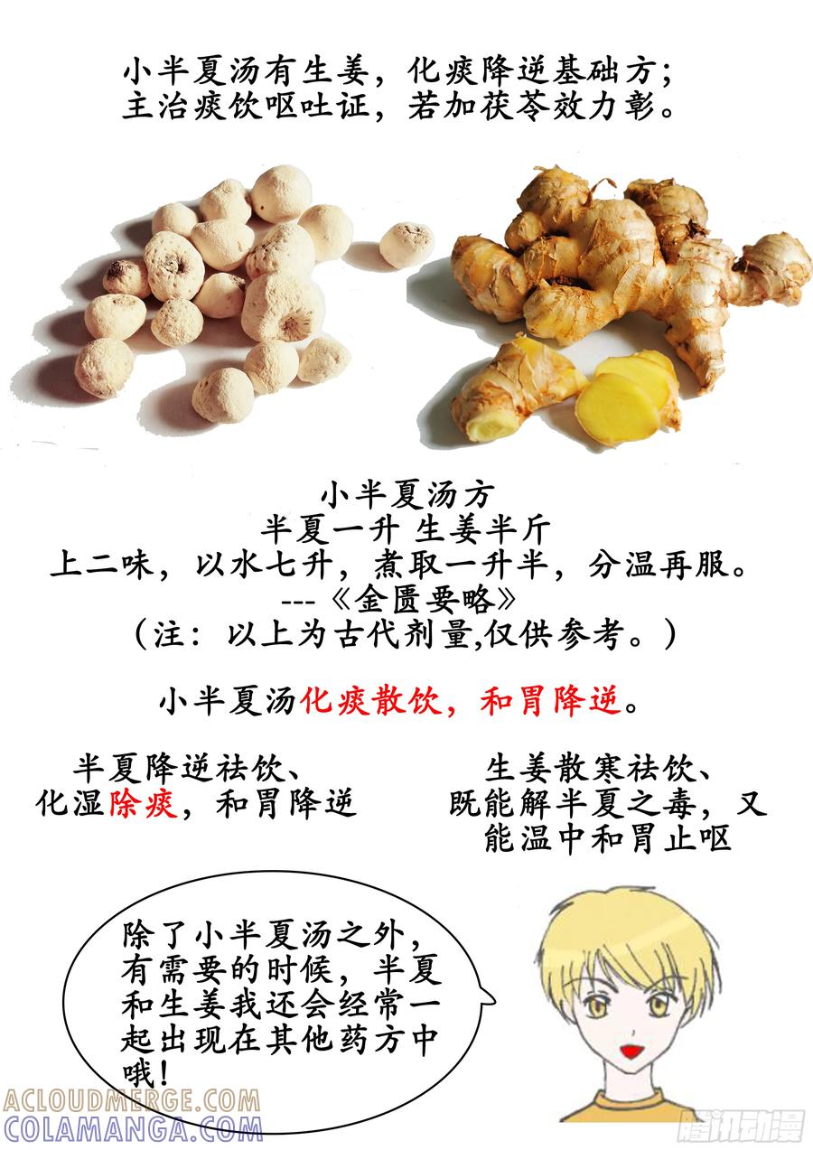 《本草传》小半夏汤 第5页