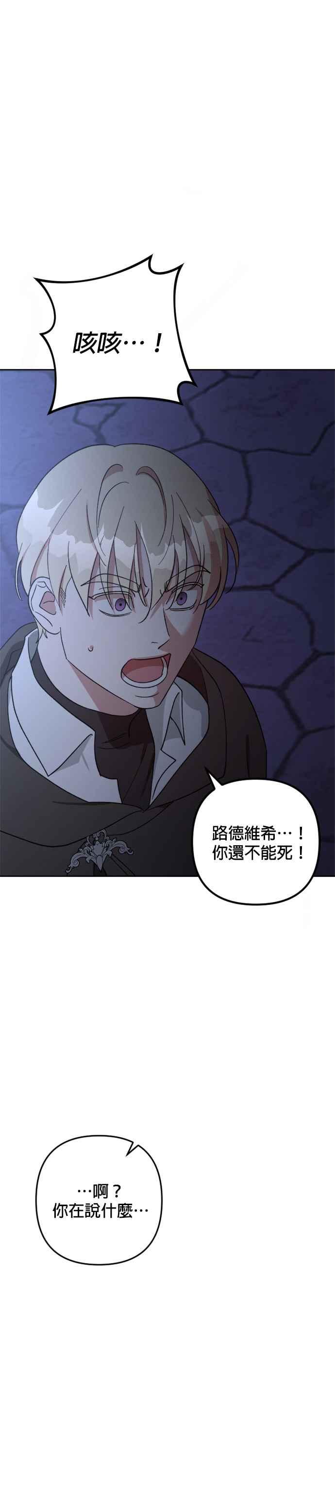 《皇帝倒转时光的理由》第99话 第29页