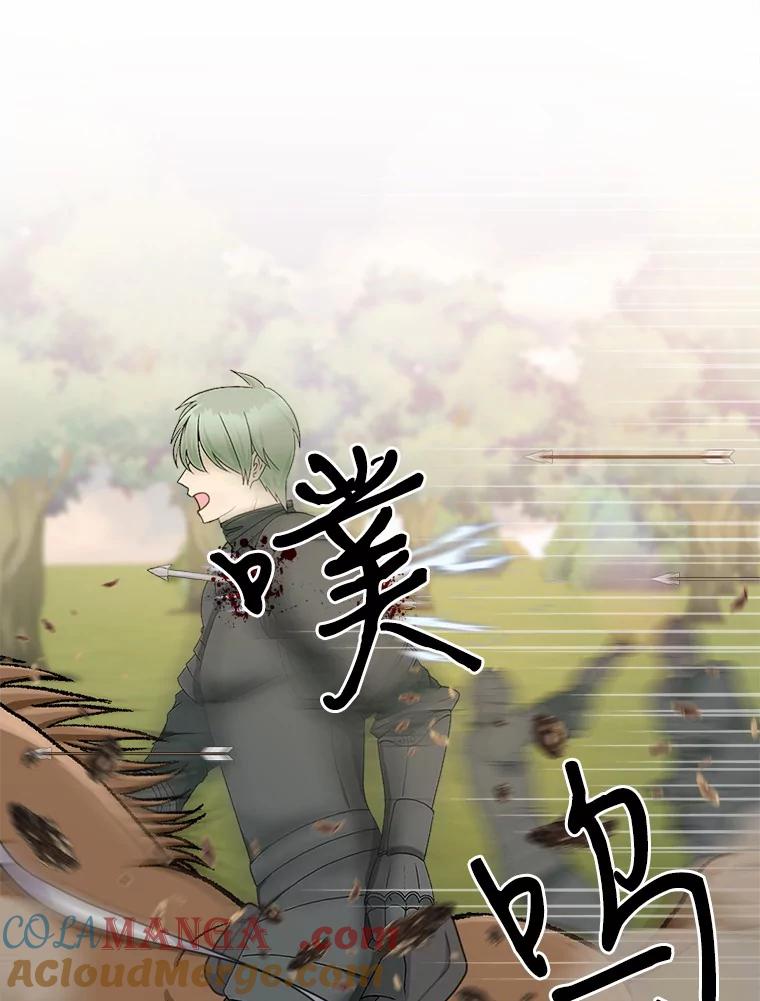 《本该爱上妹妹的他》15.战争英雄 第9页